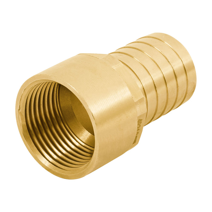 Adaptador hembra de latón 1' para manguera, FOSET