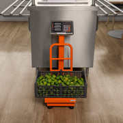 Báscula electrónica de plataforma, plegable, 100 kg, TRUPER