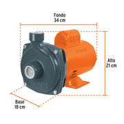 Bomba centrífuga para agua, 1 HP, TRUPER