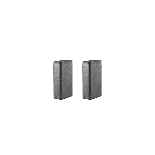 Bolsa con 2 carbones de repuesto para ROTO-1/2N9, TRUPER