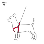 Correa con pechera para perro, 1 cm ancho, FIERO
