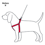 Correa con pechera para perro, 1.5 cm ancho, FIERO