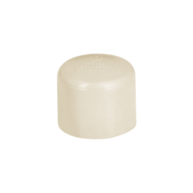 Tapón de CPVC 1', FOSET