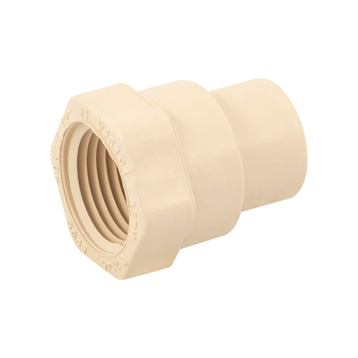Conector hembra de CPVC 1/2', FOSET