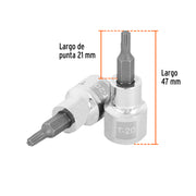 Dado punta torx T-20, cuadro 3/8', TRUPER