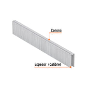 Caja con 5000 grapas corona 1/4' calibre 18, 19mm p/ENNE-120