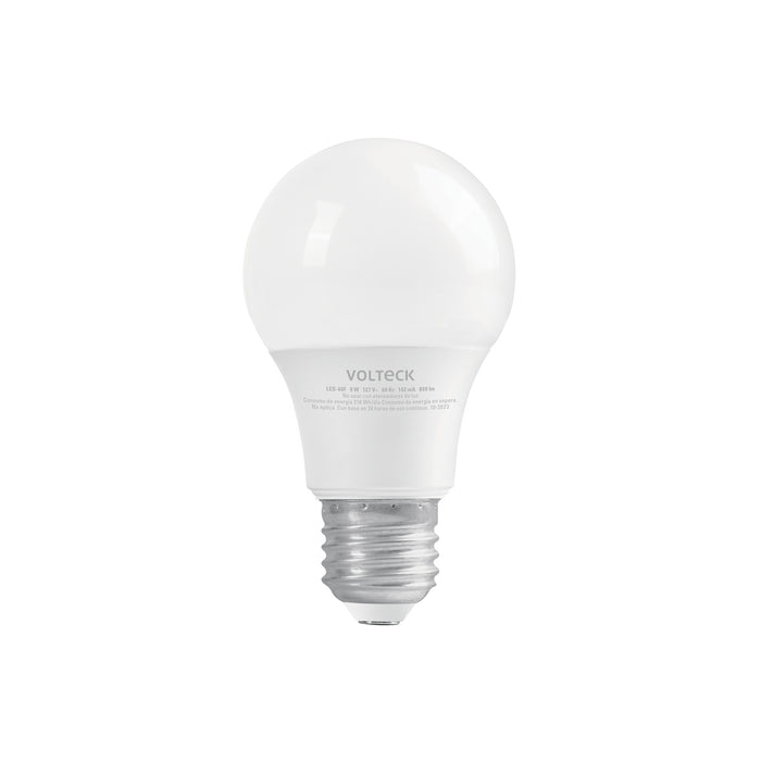 Foco LED 9W (60W) A19, 6500K blanca fría, 800 lm, blíster