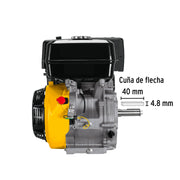 Motor a gasolina 6.5HP, PRETUL