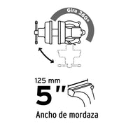 Tornillo de banco 5' de hierro gris, PRETUL