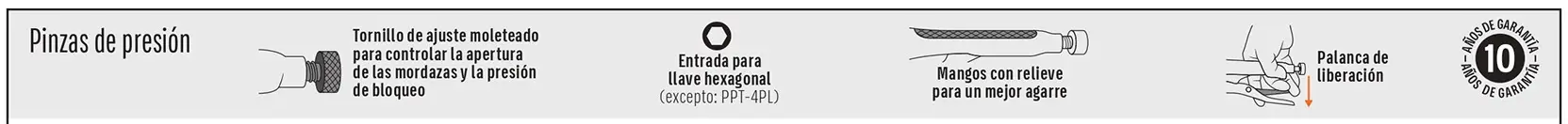 Ficha 1 del catálogo, página 305