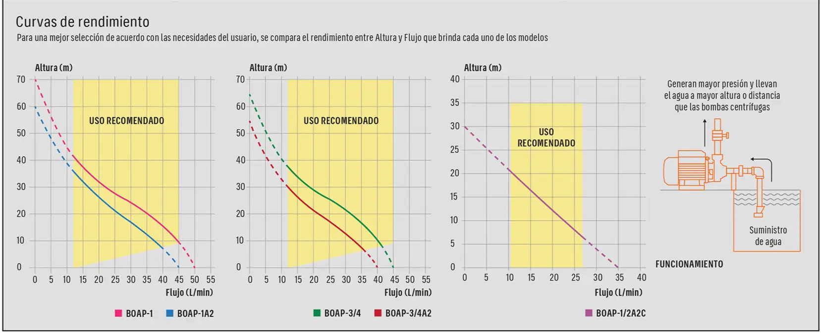 Catálogo físico, página 43