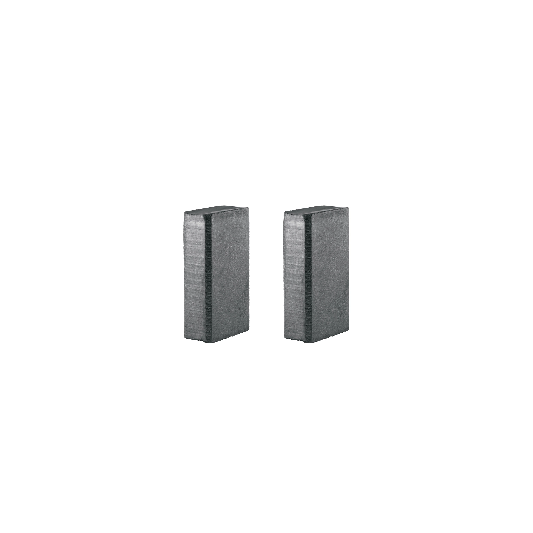 Bolsa con 2 carbones de repuesto para ROTO-1/2N9, TRUPER