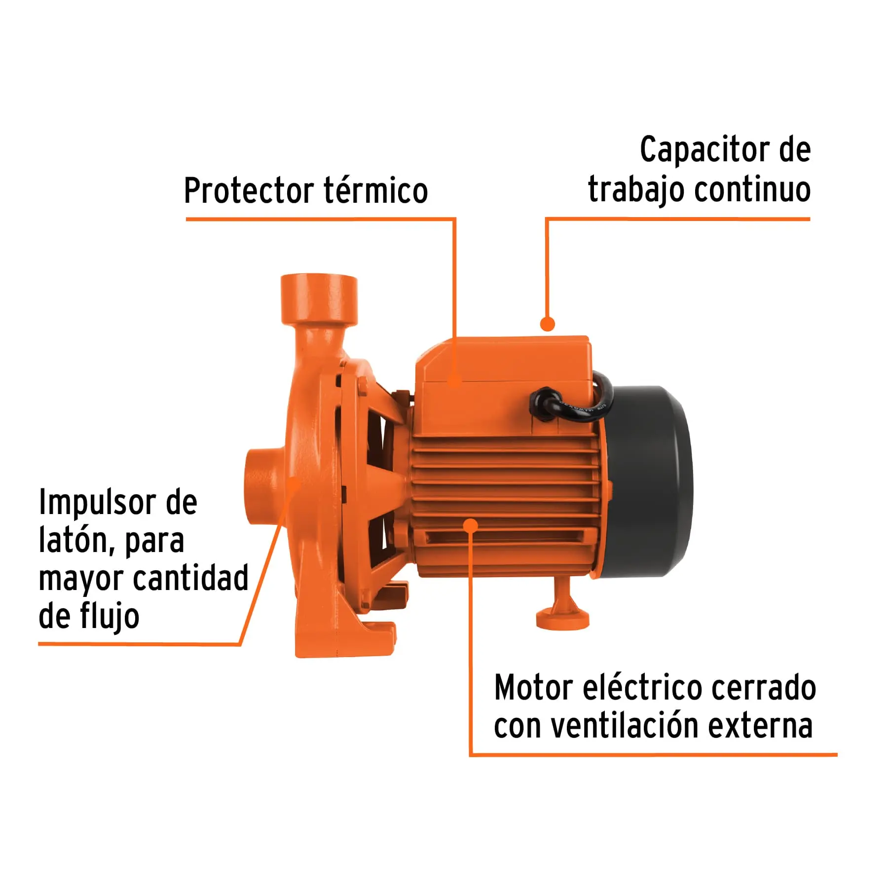 Bomba centrífuga para agua modelo europeo, 1/4 HP, EXPERT