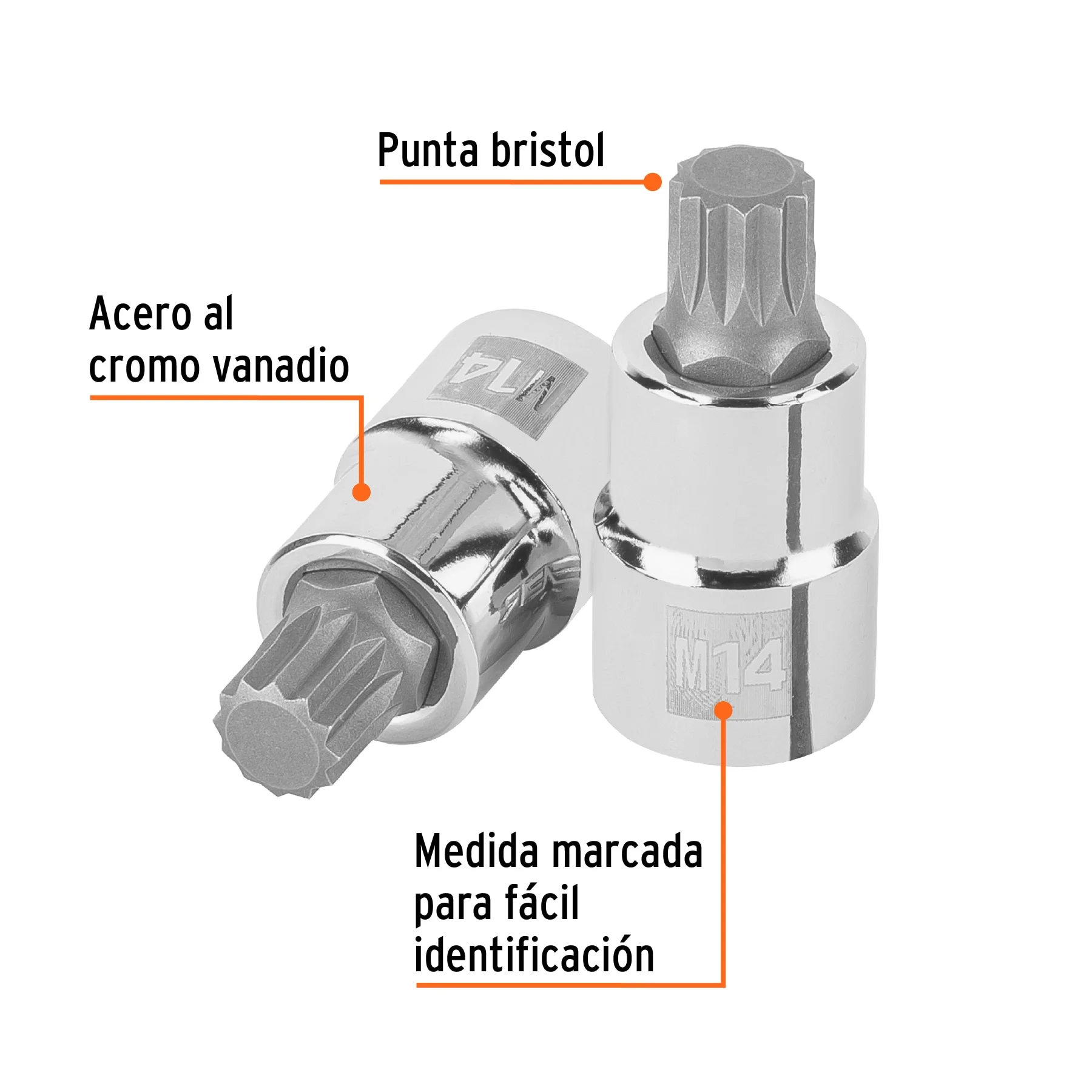 Vista 2