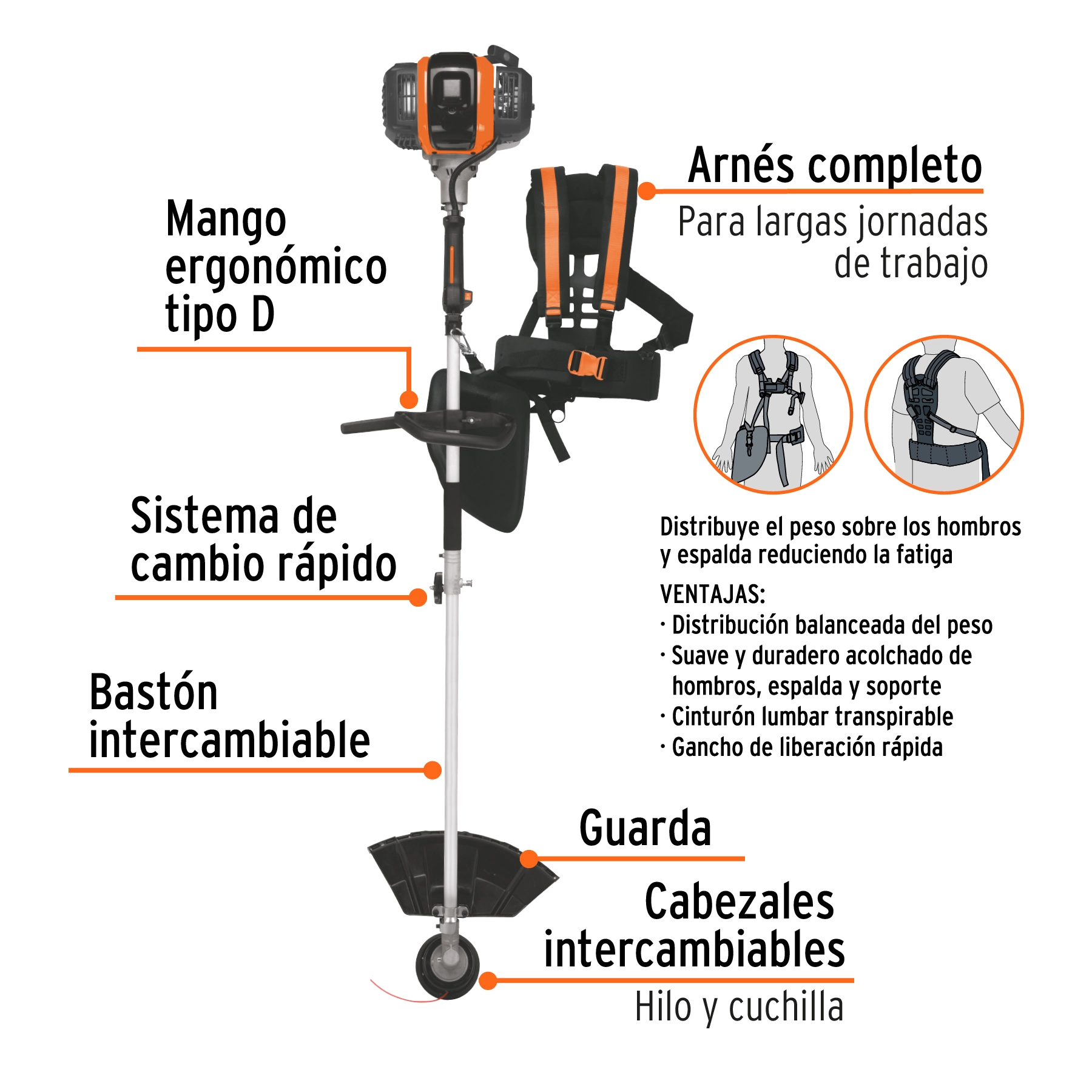 Vista 2
