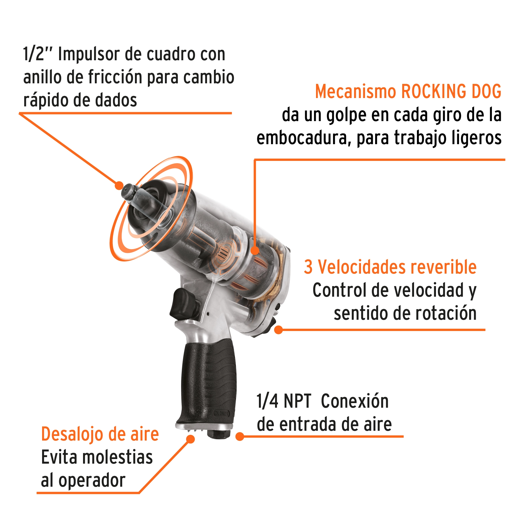 Vista 2