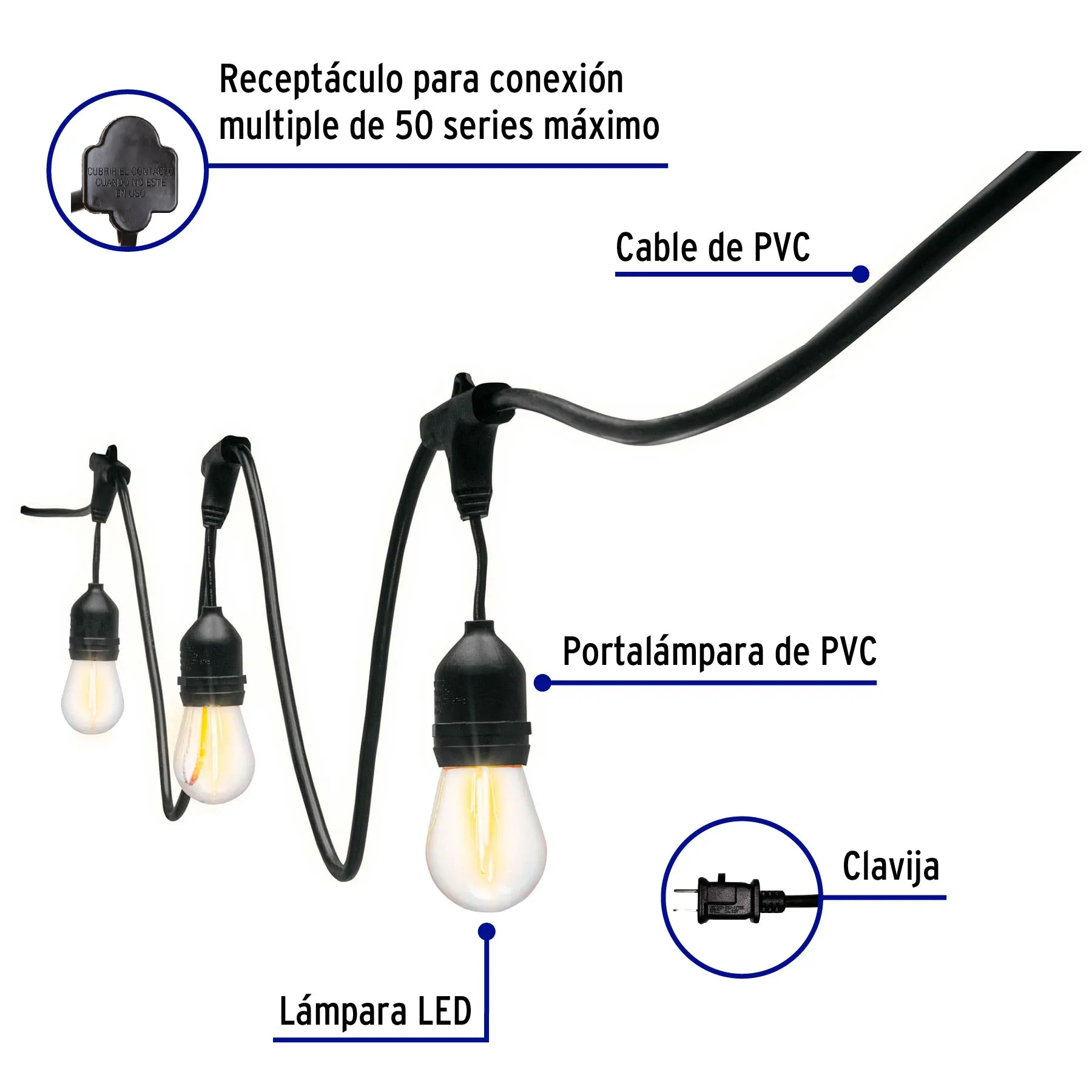 Vista 2