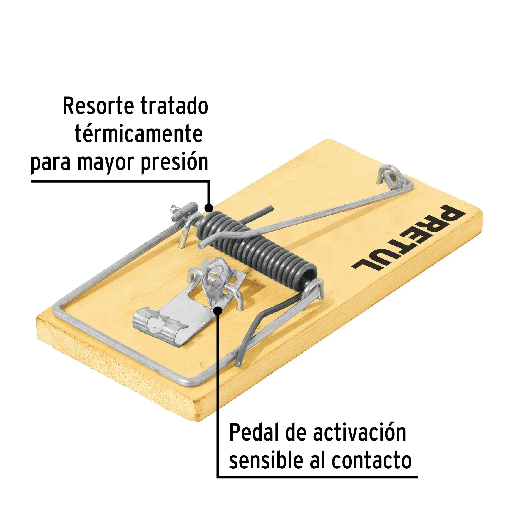 Vista 2