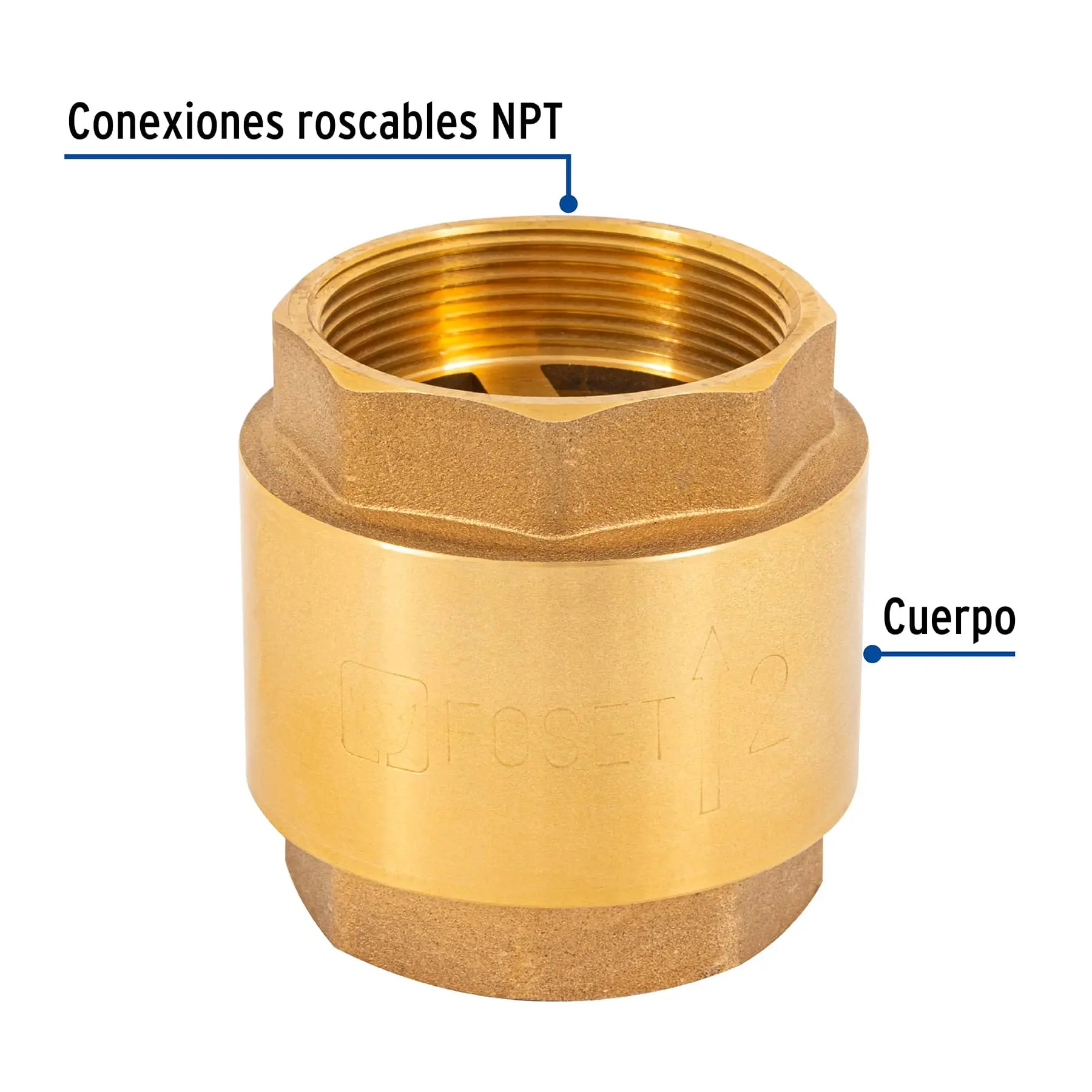 Válvula de retención de latón 2', FOSET